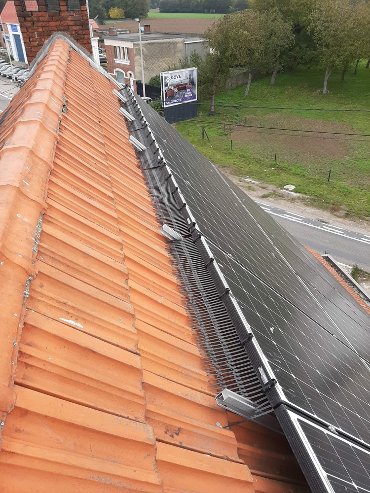Duiven en kraaien onder zonnepanelen